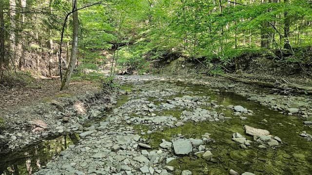 Virgil Mountain Trailhead - Image 1