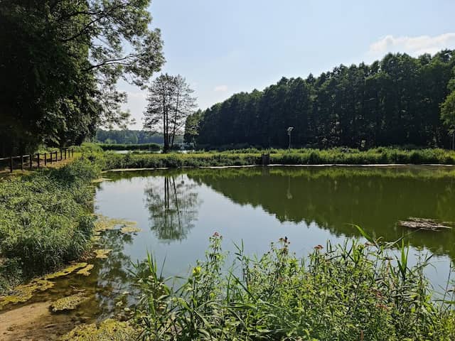 źródełko - Image 1