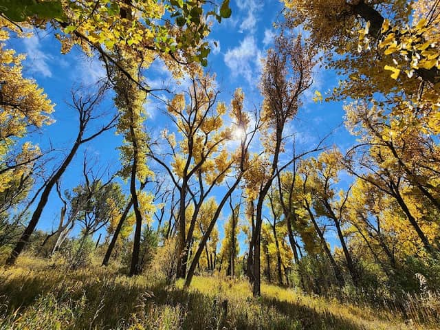 Adams Open Space - Image 1