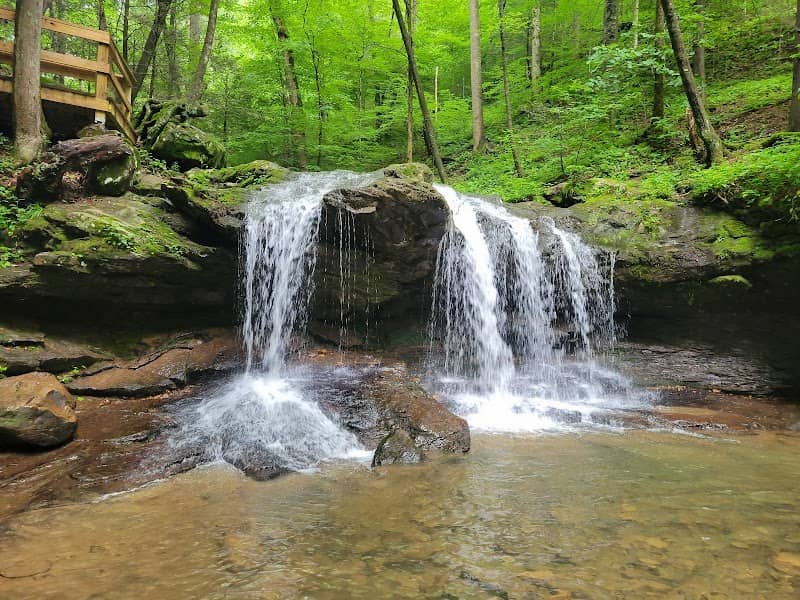 Frozen Head State Park - Image 1