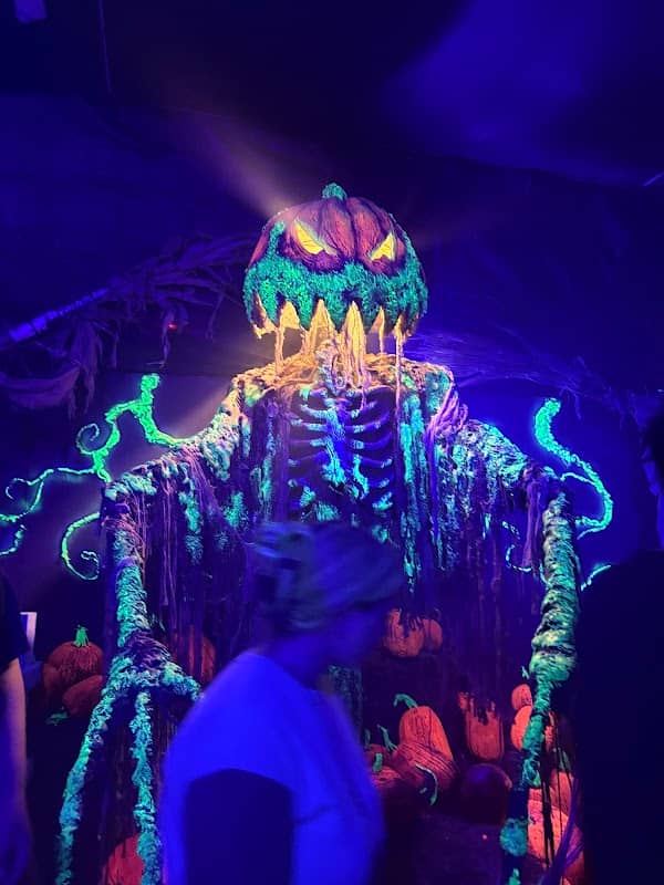 The Hex House - Image 2
