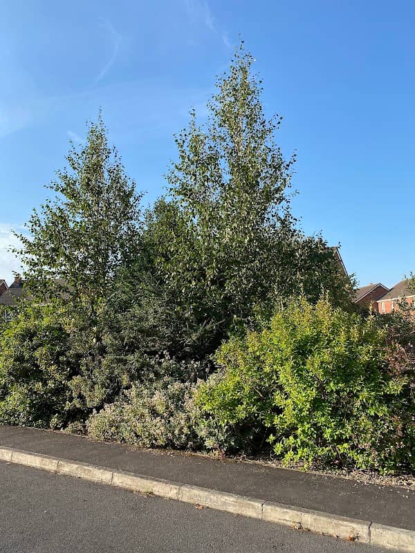 Danesfort Park Garden - Image 1