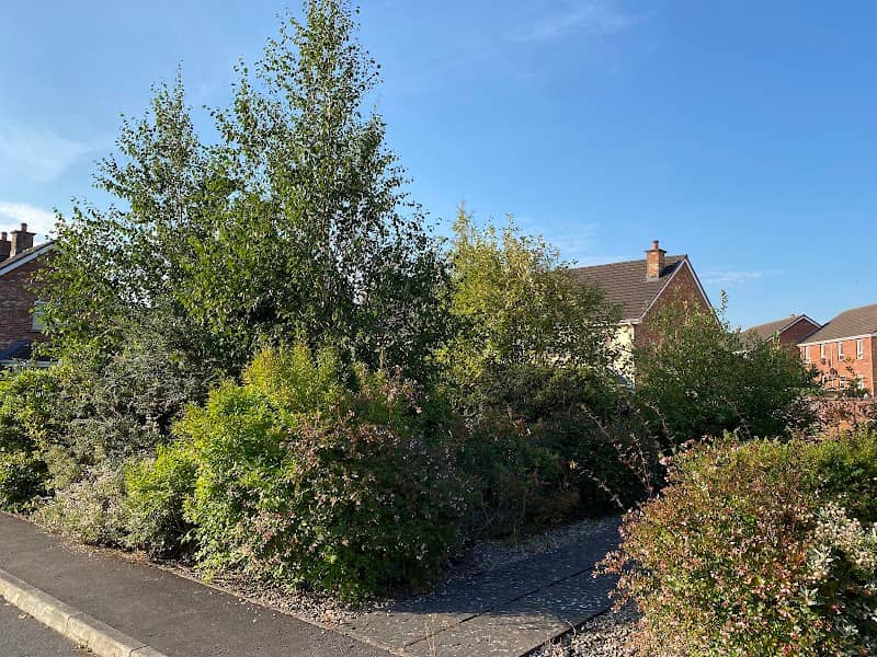 Danesfort Park Garden - Image 2