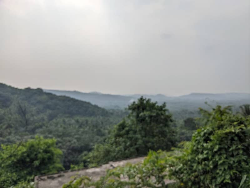 Onamala - Image 1