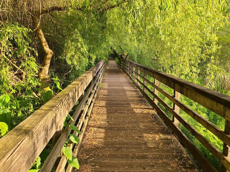 Juanita Bay Park - Image 3