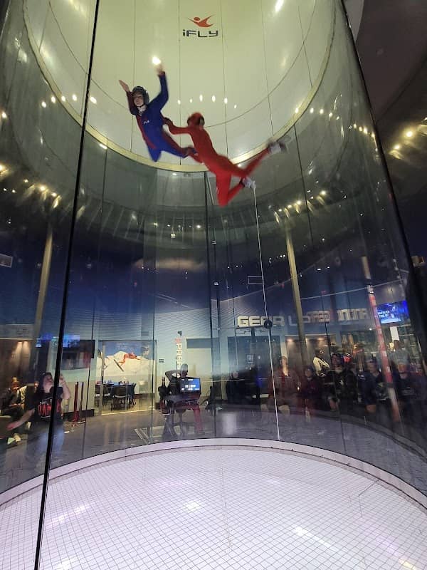iFLY Indoor Skydiving - Houston Woodlands - Image 3