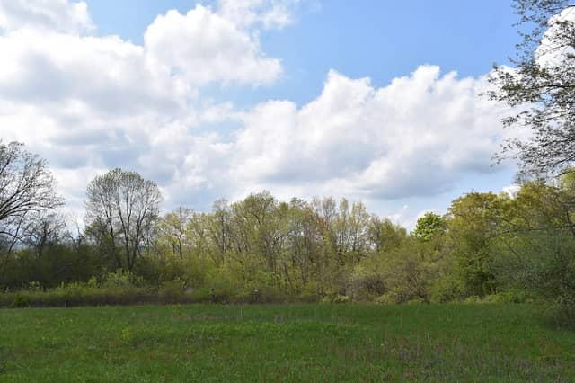 Greenport Conservation Area - Image 1