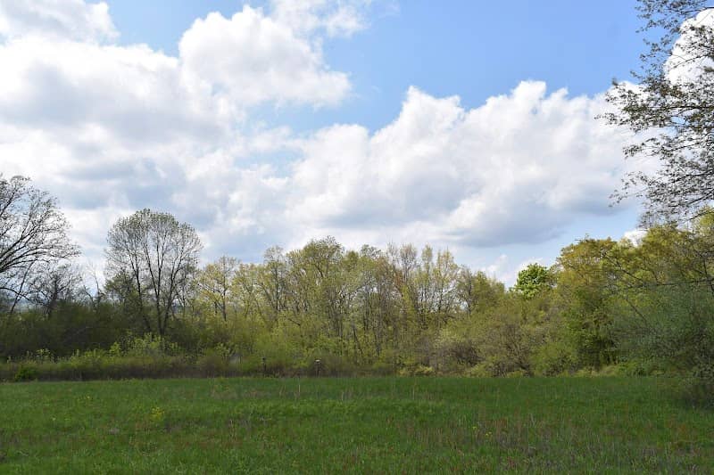 Greenport Conservation Area - Image 1