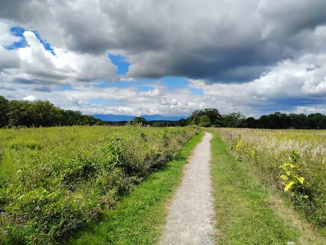 Greenport Conservation Area - Image 2