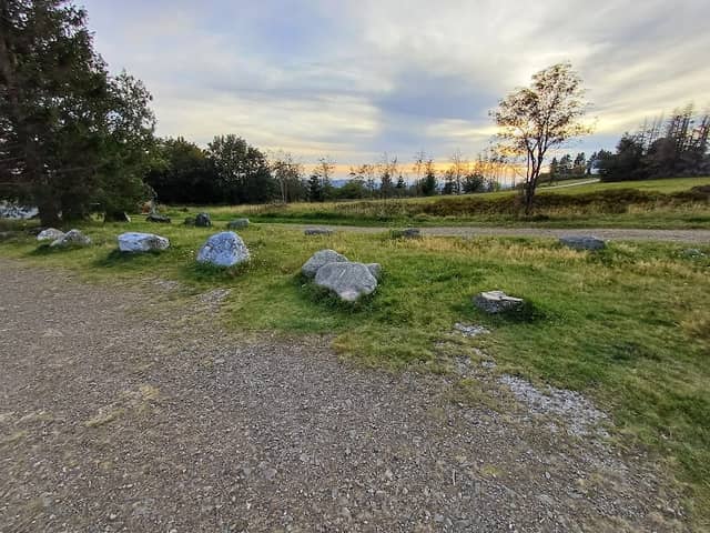 Harzer Gesteine - Image 1