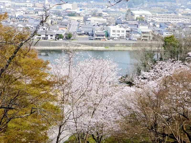 Arashiyama Park - Image 1