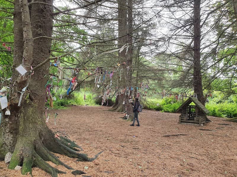 Fullarton Fairy Trail - Image 1