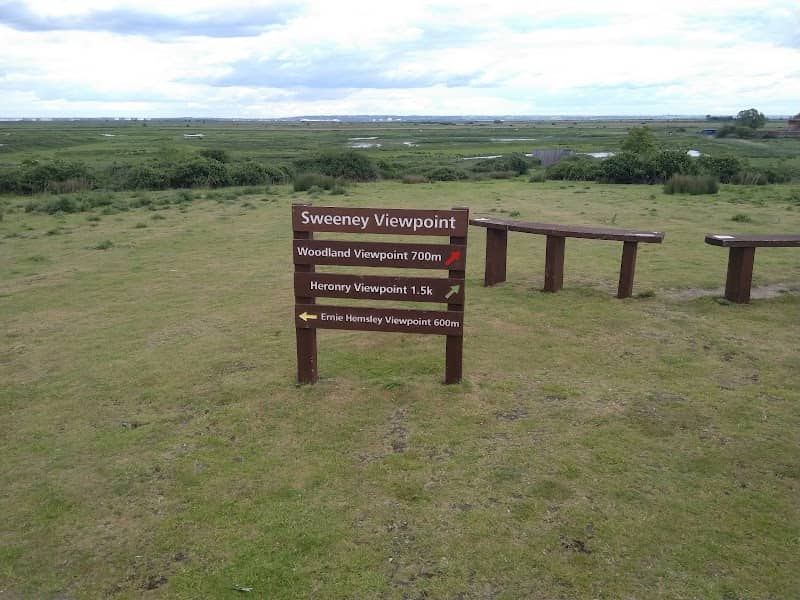 RSPB Northward Hill - Image 2