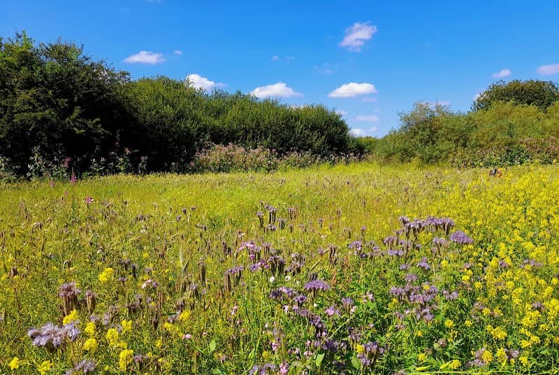 Woolston Eyes SSSI - Image 3