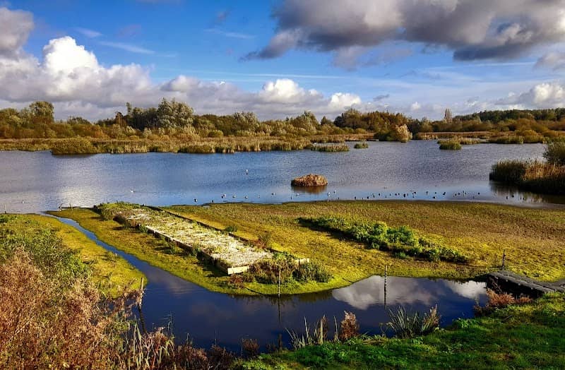 Woolston Eyes SSSI - Image 1