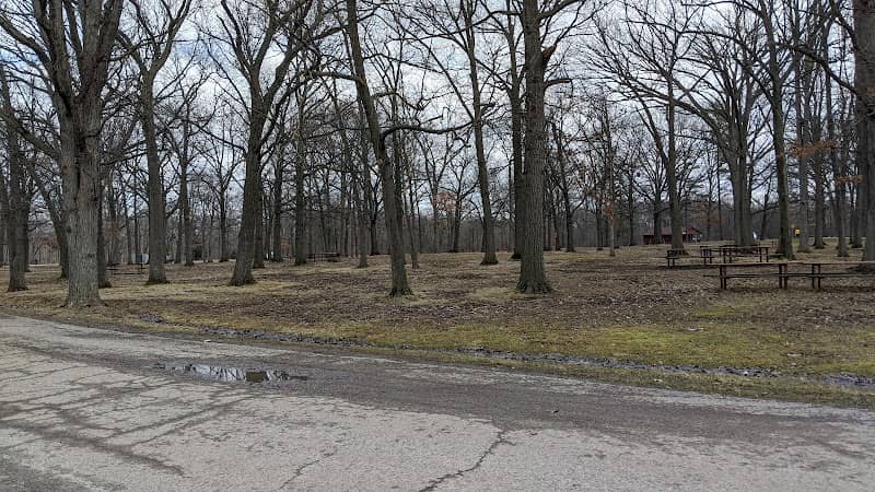 Burgoyne Woods - Image 1