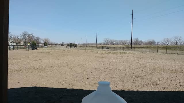 Bark Park - Image 2