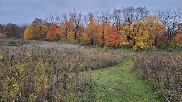 Pickerill-Pigott Forest Preserve - Image 1
