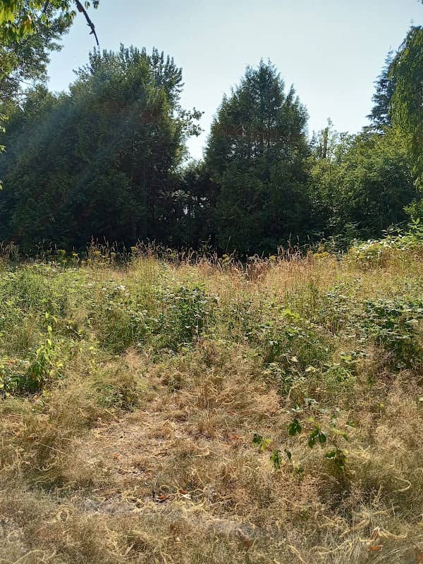 Matinjussi Property - Image 1
