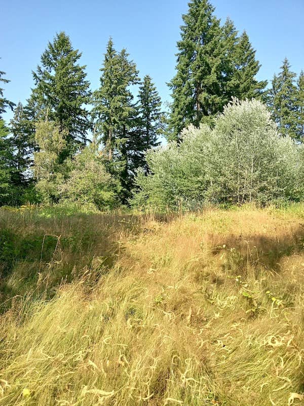 Matinjussi Property - Image 2