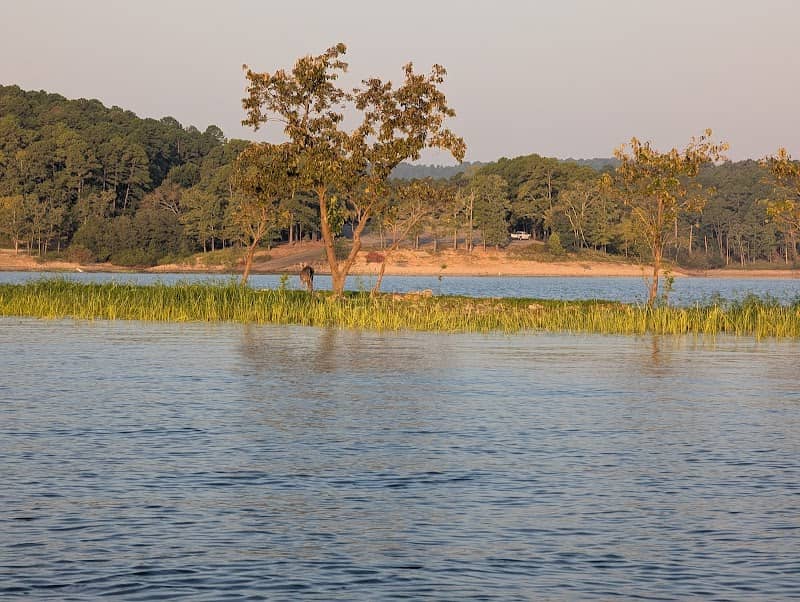 Deer Island - Image 2