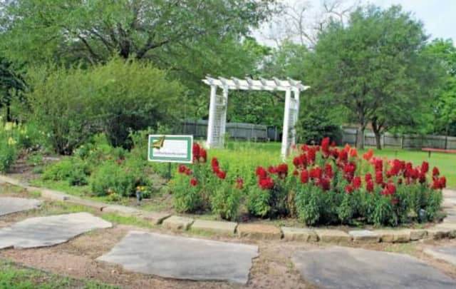 Midtown Park Butterfly Garden - Image 2