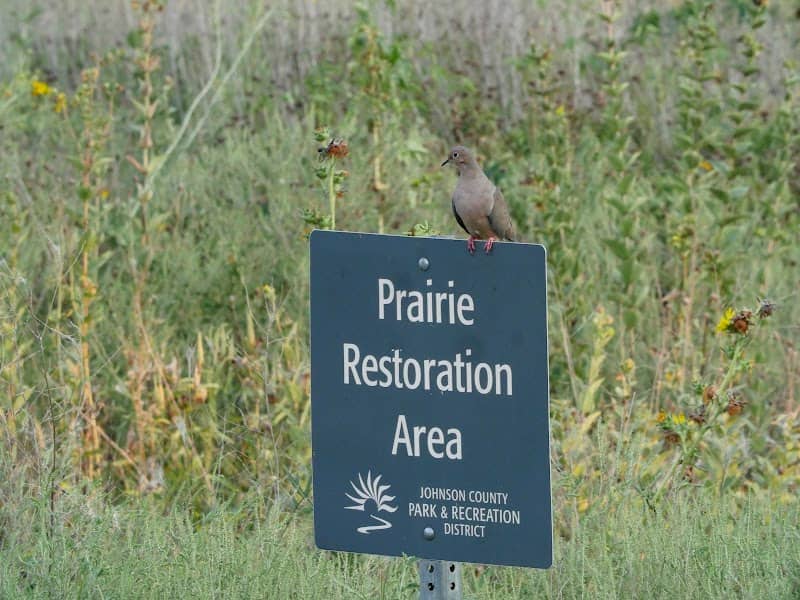 Johnson County Parks & Rec - Image 1