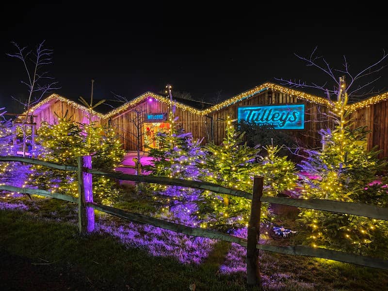 Tulleys Christmas Lights Festival - Image 2