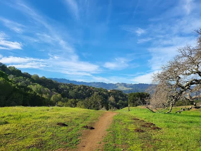 Arastradero Preserve Vista Point - Image 1