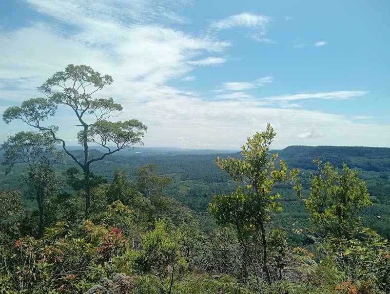 Explore - Image 1