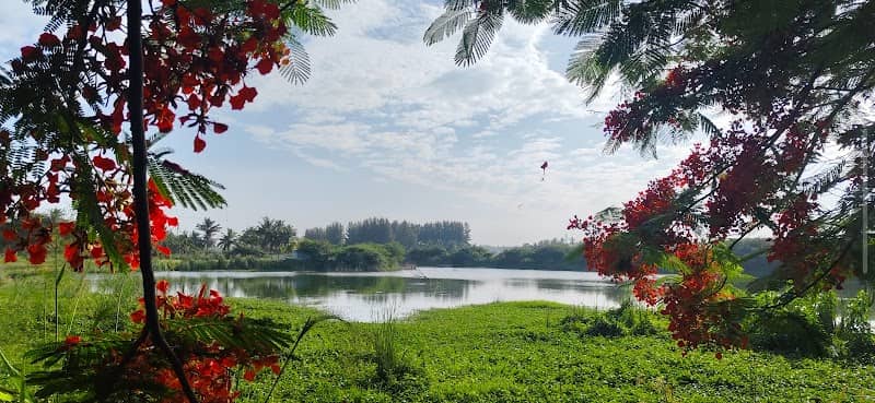 Periya kuttai restored by E.F.I - Image 1