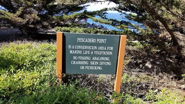 Pescadero Point - Image 3