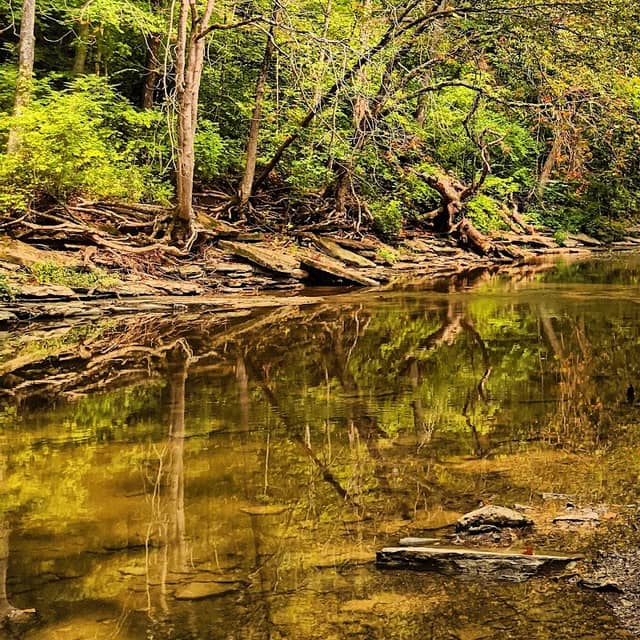 South Fork Park - Image 1