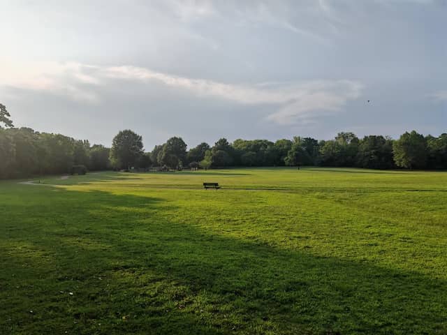 Old Memorial Park - Image 2