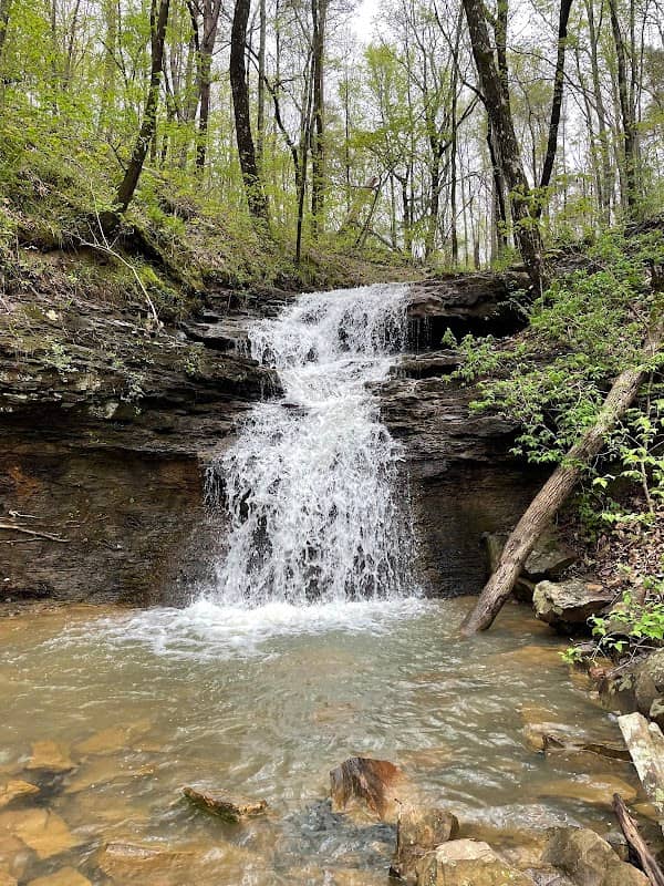 Alum Hollow - Image 1