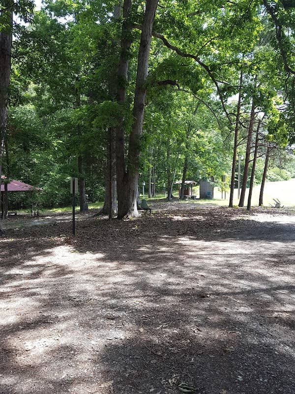 Peewees MTB Trails - Image 2