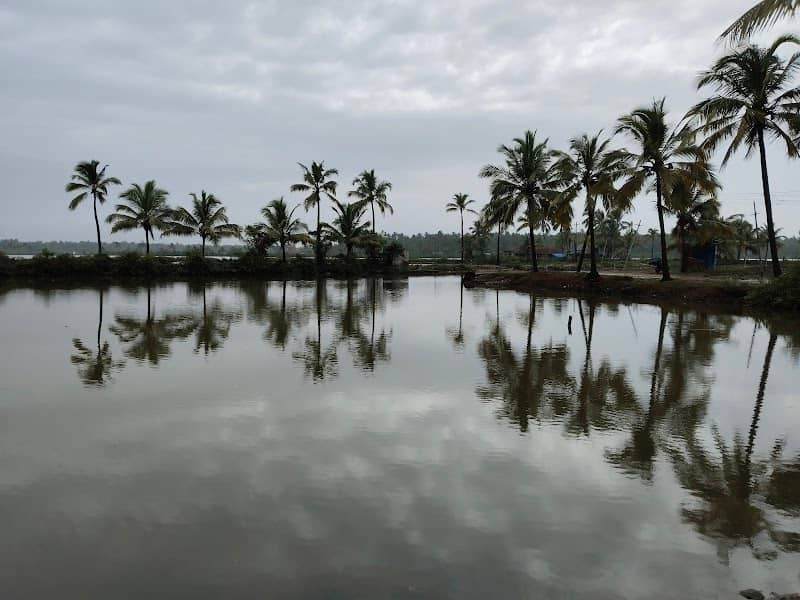 Chemmeen bund - backwater - Image 1