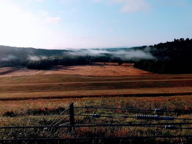 Overlook of Dam - Image 2