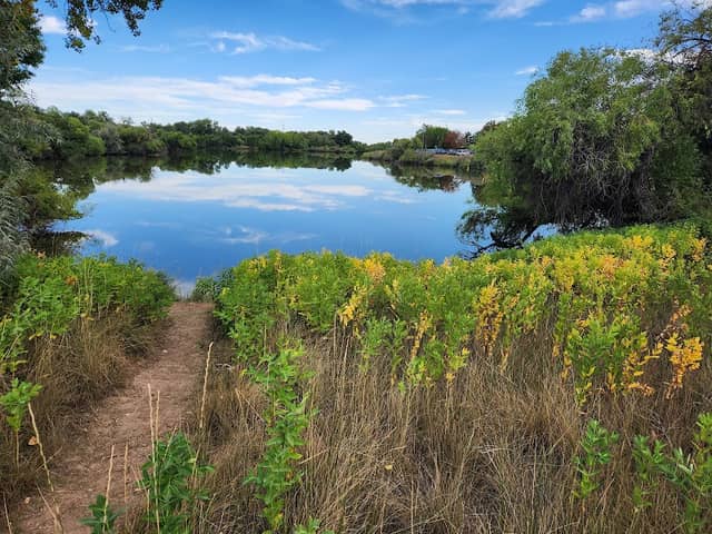 Prospect Ponds Natural Area - Image 3