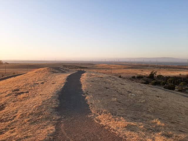 Kite Flying Area - Image 1