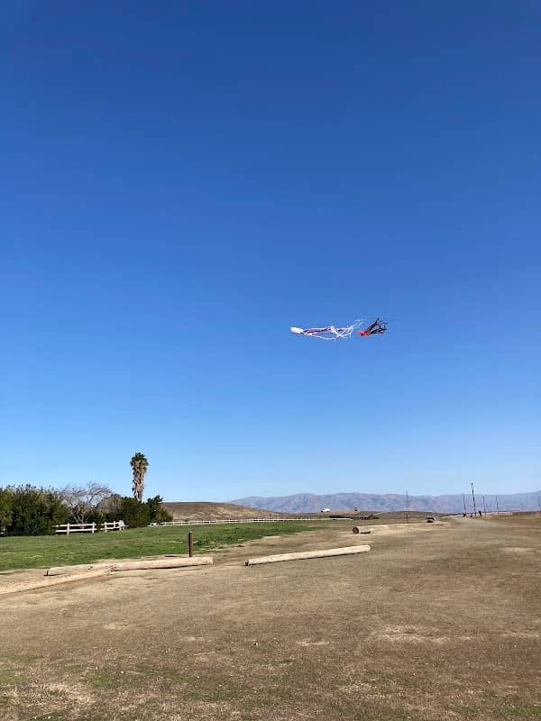 Kite Flying Area - Image 2