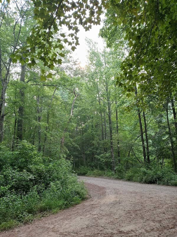Glassboro Wildlife Management Area - Image 1