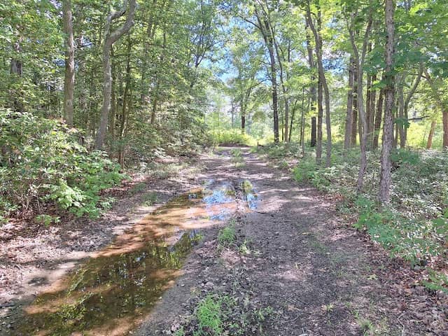 Glassboro Wildlife Management Area - Image 2