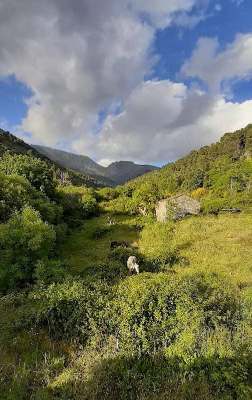 Los Placeros - Image 1