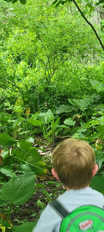 Carter Lake Preserve - Image 2
