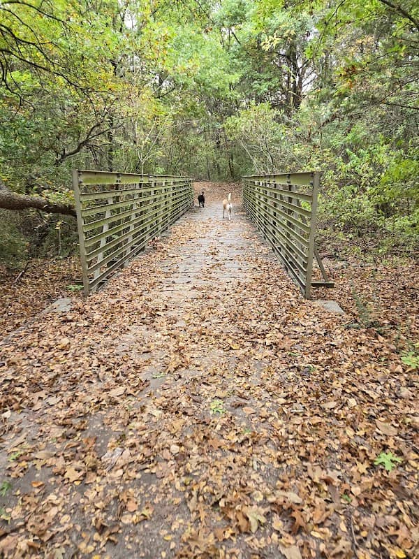 Paul S. Dryer Nature Preserve At Windmill Hill - Image 1