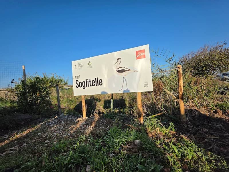 Oasi Lipu Soglitelle - Image 2