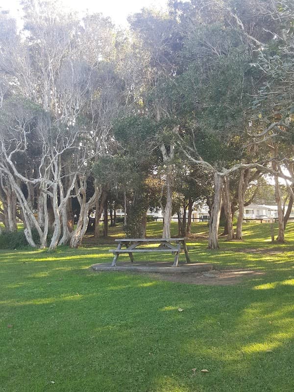 Lions Park - Image 1