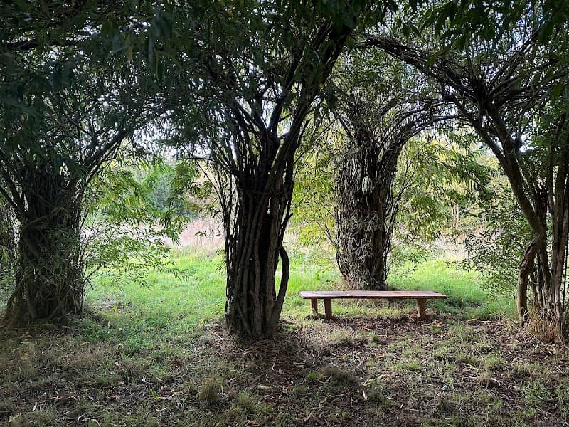 Willow Cathedral - Image 1