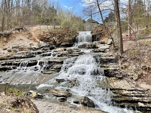 Tanyard Creek Nature Trail - Image 2